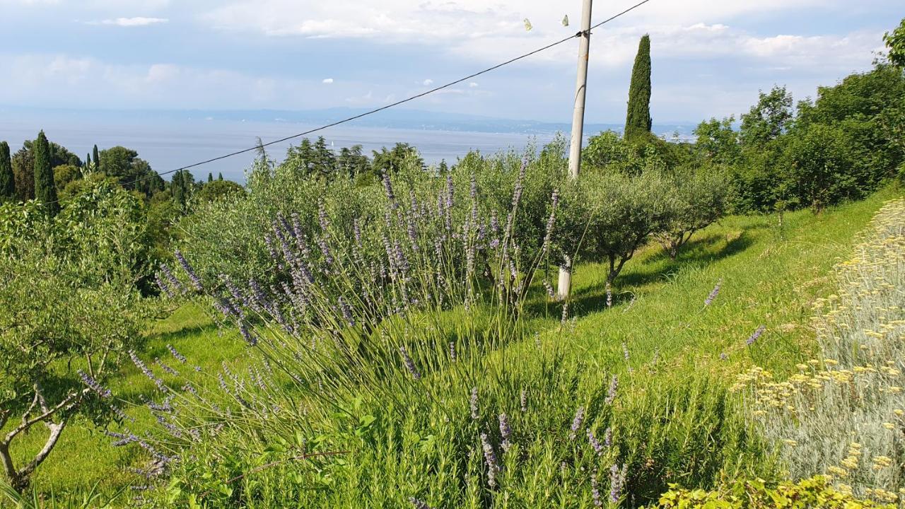 Apartments Bancic Portorož Kültér fotó